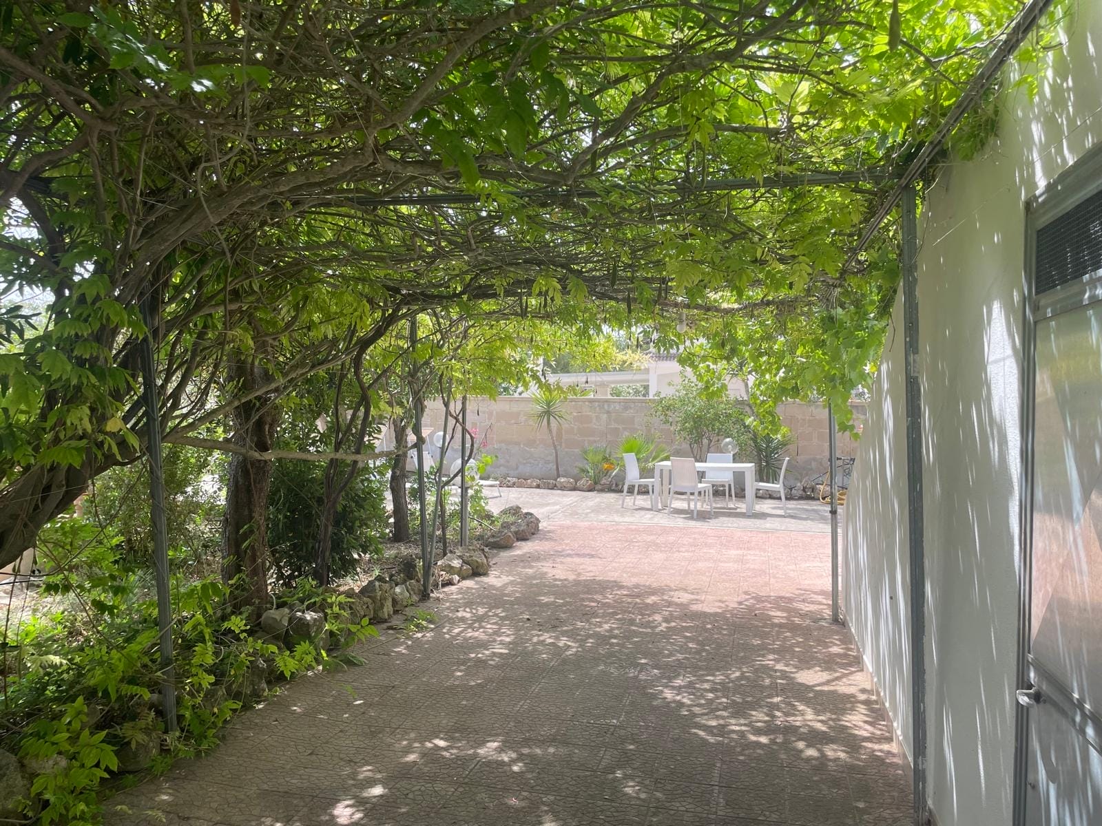 ImmoPuglia_30548146_Di Carlo Pia Caterina_giardino3