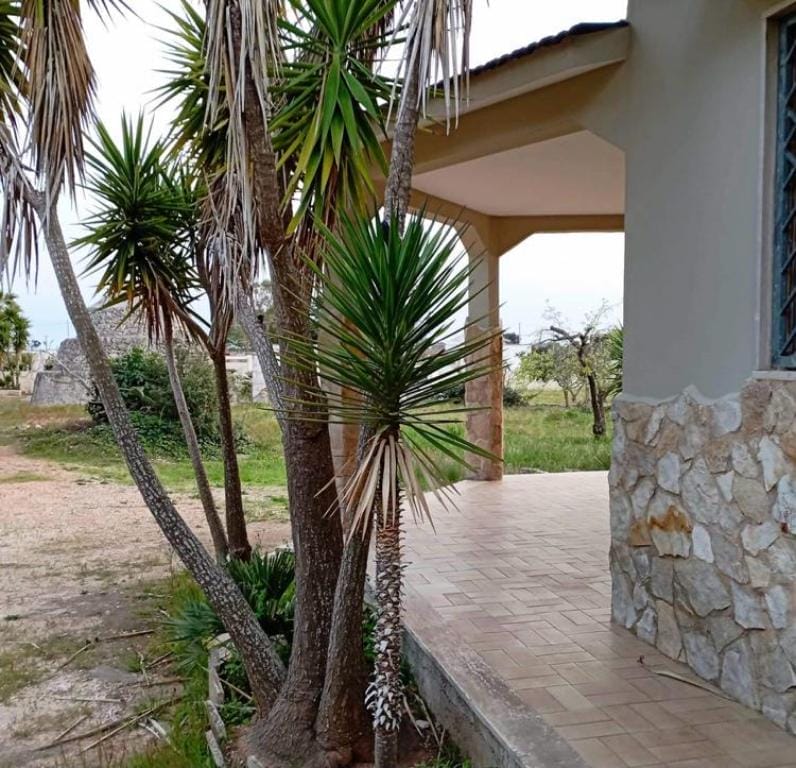 ImmoPuglia_32065659_veranda1_Di Carlo Pia Caterina