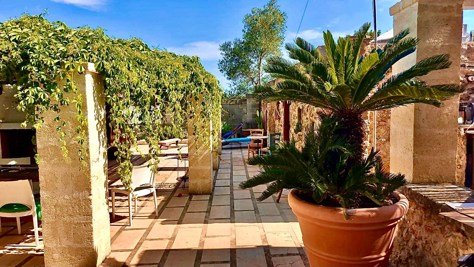 ImmoPuglia_Di Carlo Pia Caterina_ 27870885_fronte casa5