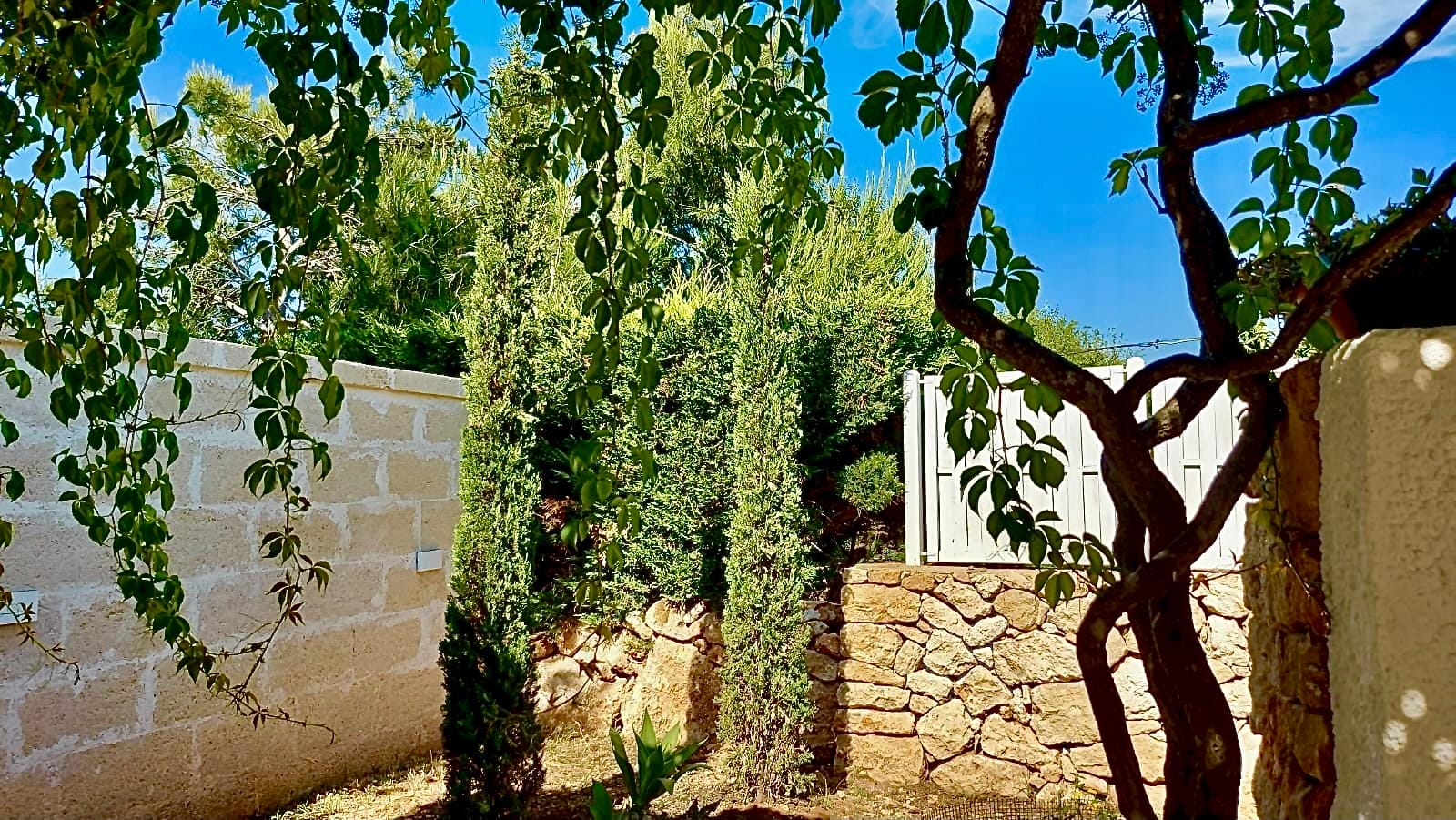 ImmoPuglia_Di Carlo Pia Caterina_ 27870885_giardino3