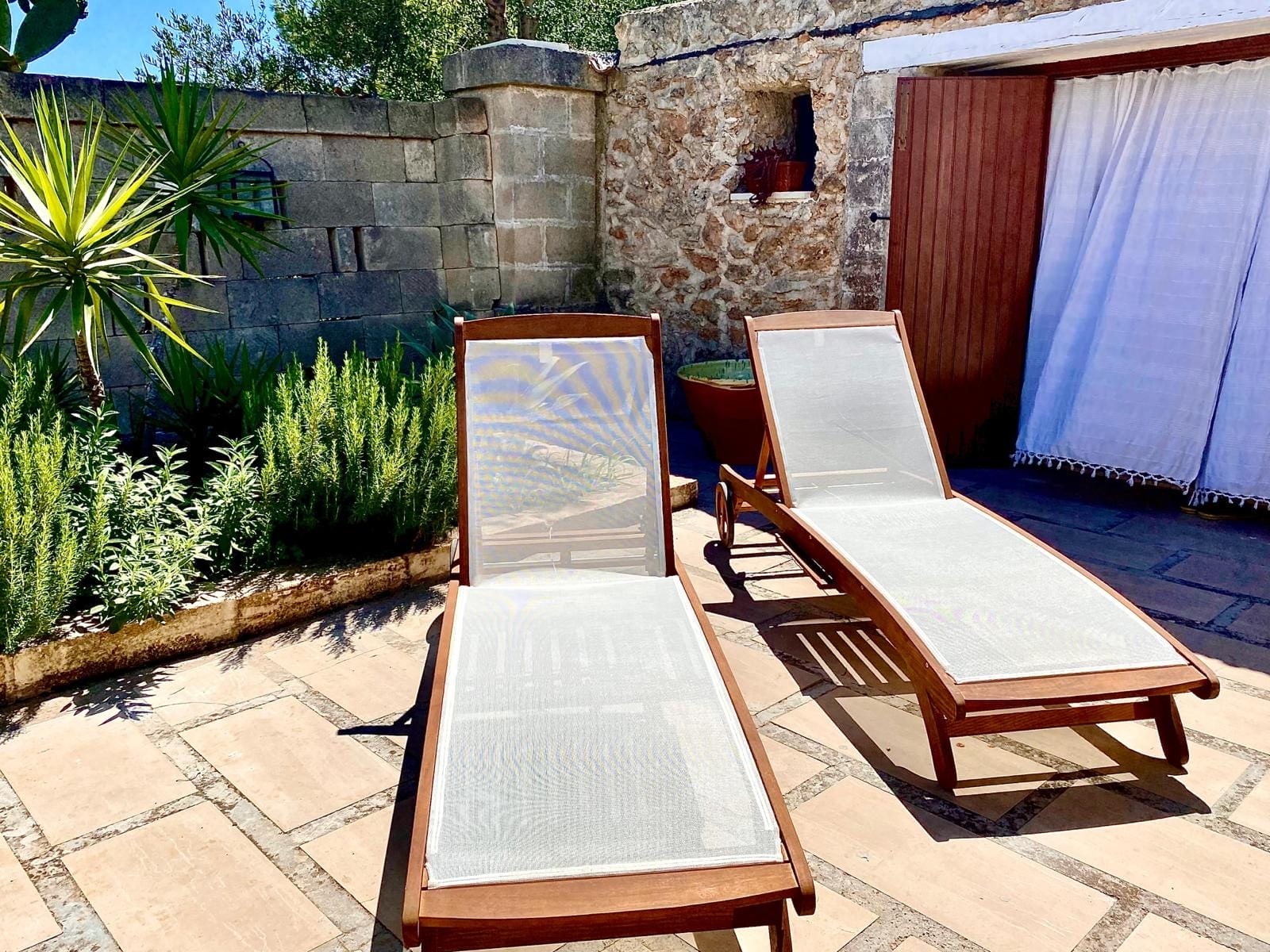 ImmoPuglia_Di Carlo Pia Caterina_ 27870885_terrazza5