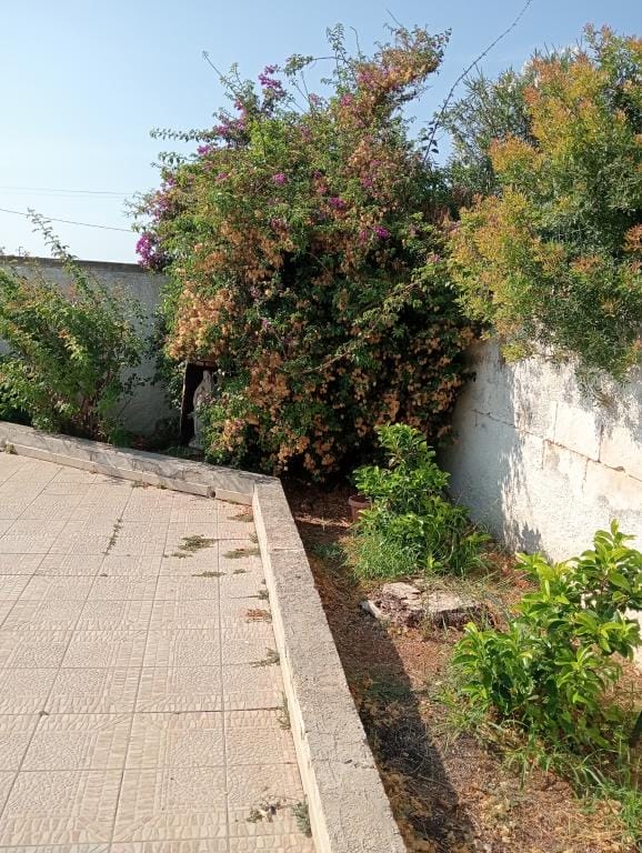 Immopuglia_Pia_Caterina_Dicarlo_30863971_particolare esterno12
