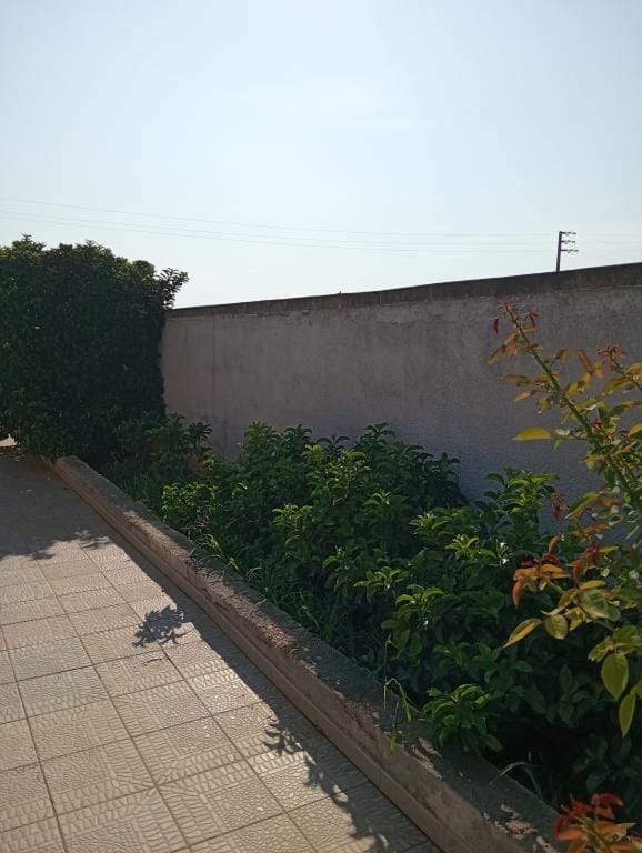 Immopuglia_Pia_Caterina_Dicarlo_30863971_particolare esterno15